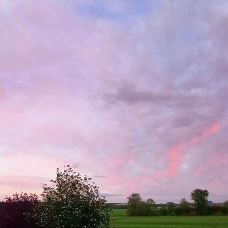 Privatzimmer Mit Aussicht Pirna Bagian luar foto